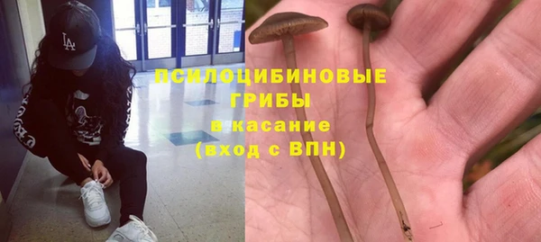 ешки Тобольск